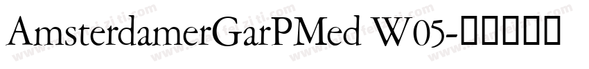 AmsterdamerGarPMed W05字体转换